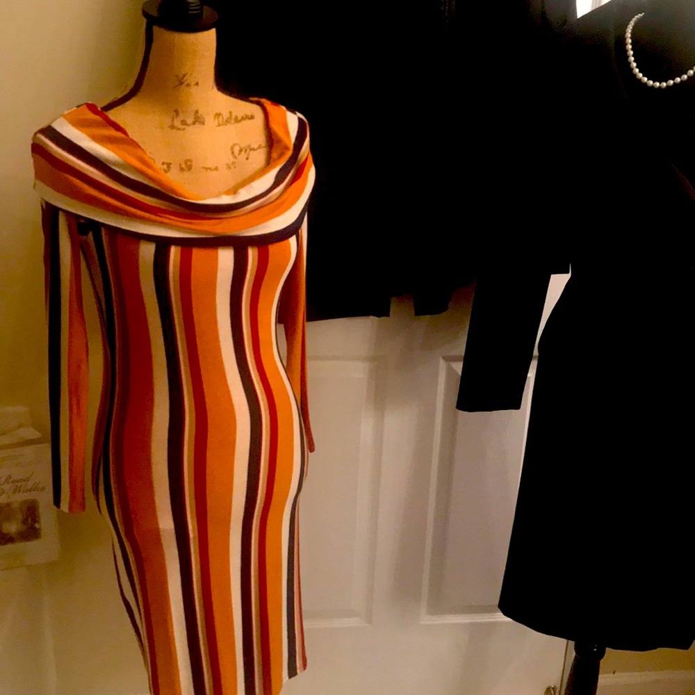 Rich Earth Tones Sweater Dress